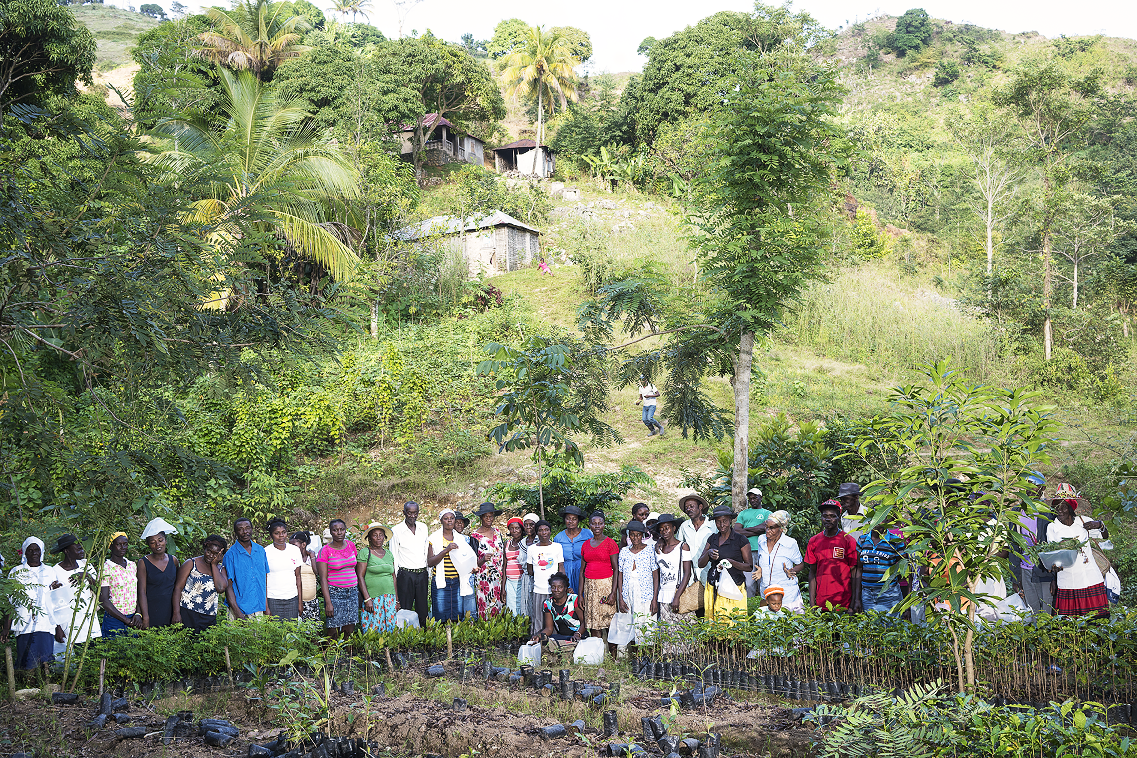 I contadini di haiti che si stanno prendendo cura della foresta di 4Graph.