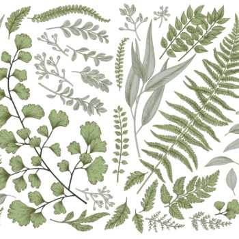 Fiori e piante nelle illustrazioni botaniche
